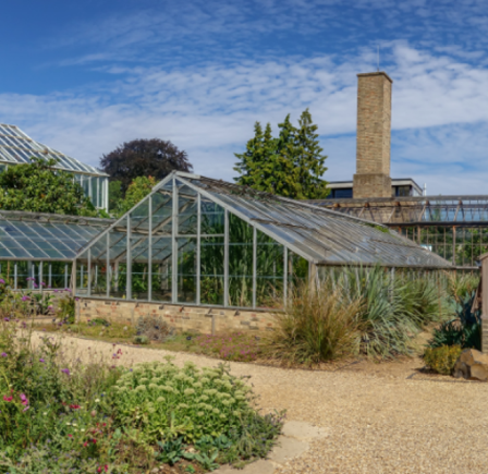 <strong>CAMBRIDGE UNIVERSITY BOTANIC GARDENS</strong>